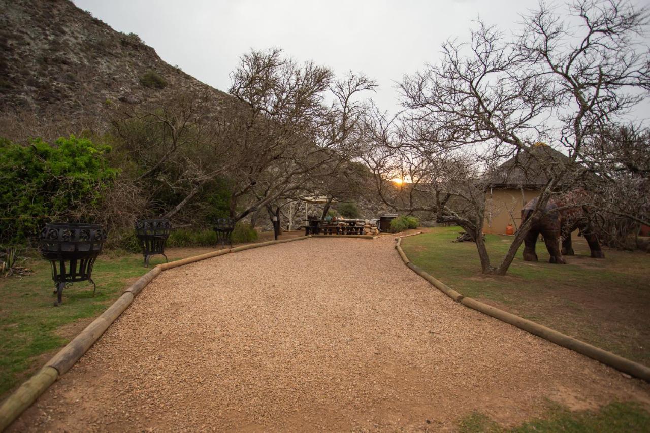Indalu Game Reserve Boggomsbaai Exterior photo