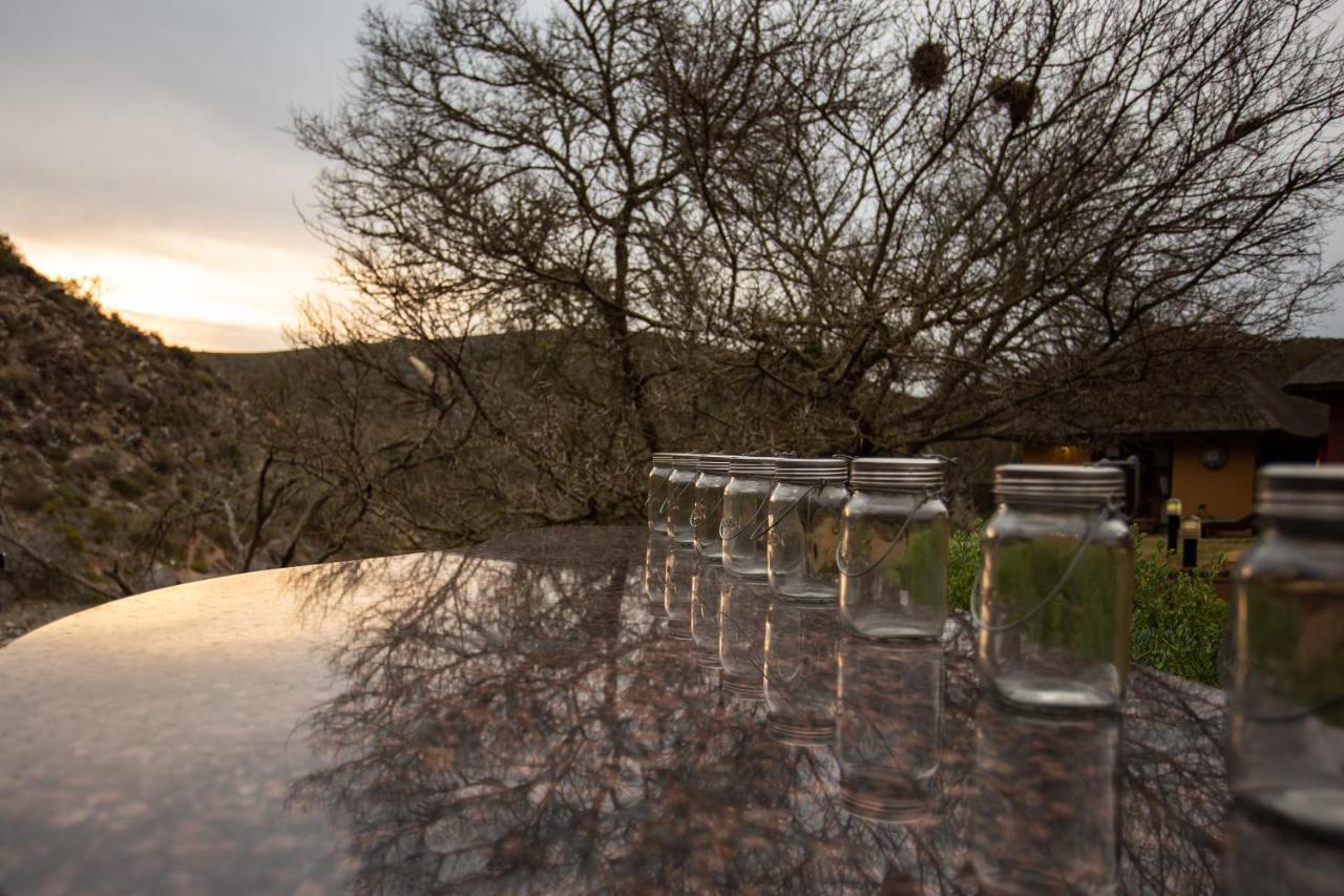 Indalu Game Reserve Boggomsbaai Exterior photo